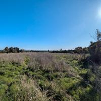 Terreno agricolo - monasteri -