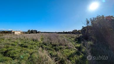Terreno agricolo - monasteri -
