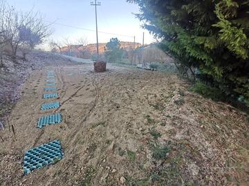 Pesaro Terreno agricolo ben tenuto