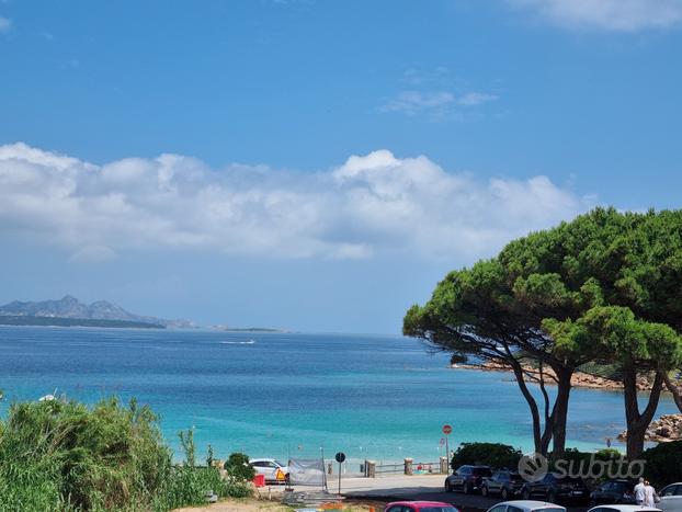 Bilocale con terrazza vista mare