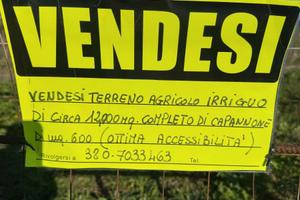 Terreno agricolo 12000mq