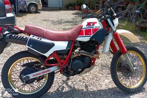 prima serie xt 600 43f .