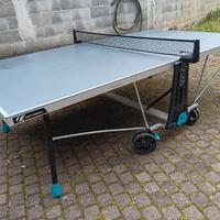 Tavolo ping pong