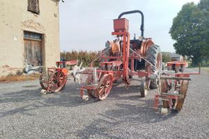 trapiantatrice pomodori checchi e magli