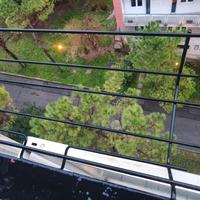 porta piante in ferro