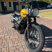Triumph 900 scrambler