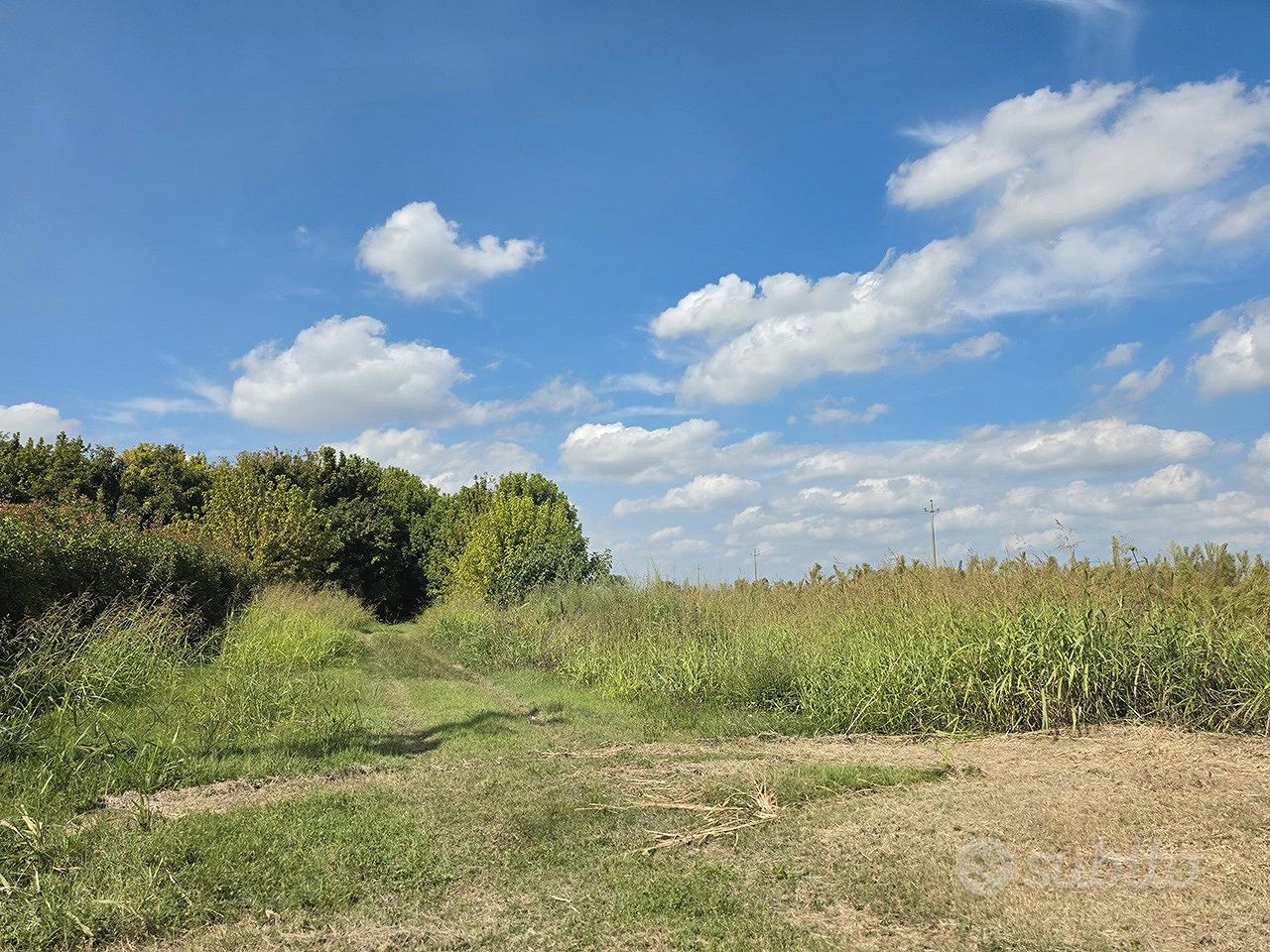 Erreno agricolo 2.23 Ha Copparo (FE) 30.000 Euro - Vista 4