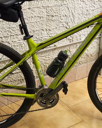 Mtb mis.29