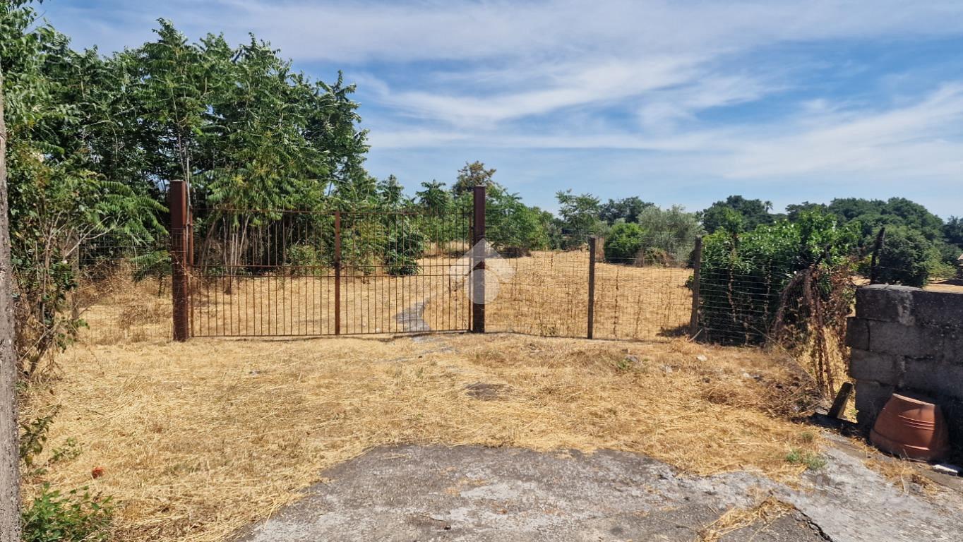 TER. AGRICOLO A VIAGRANDE - Vista 5