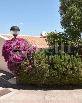 Villa a schiera Olbia [Cod. rif 3244676VRG]