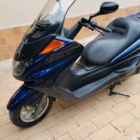 Yamaha Majestic 250