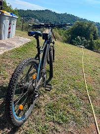 Bici Assistita 