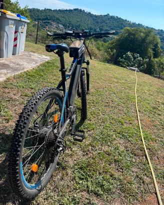 Bici Assistita 