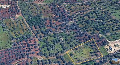 Terreno residenziale Carovigno