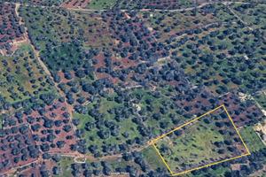 Terreno residenziale Carovigno