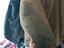 Immagine 2