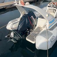 Evinrude etc 150 cv del 2009