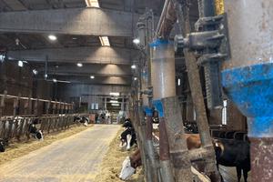 Impianto distribuzione mangime