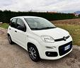 fiat-panda-lounge-1-2-benzina-69-cv-neopatentati