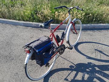 Bicicletta da uomo 