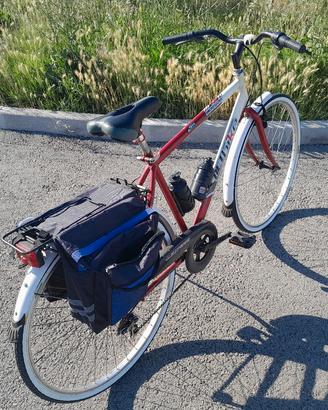 Bicicletta da uomo 