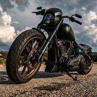 Harley-Davidson Breakout FXSB 103 Custom - 2016
