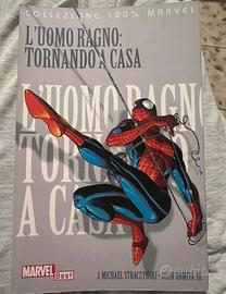 Libro L'Uomo Ragno tornando a casa