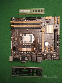 Asus Z 87 - M Plus