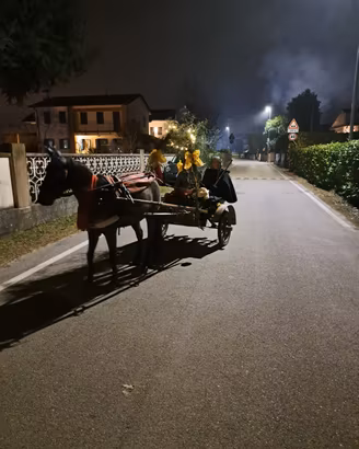 Pony