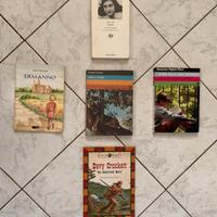 Libri ragazzi scuola anna frank king il leone
