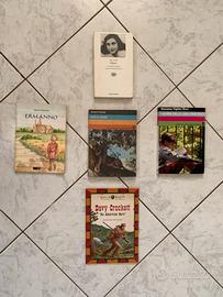 Libri ragazzi scuola anna frank king il leone