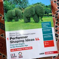 1 pERFORMER sHAPING iDEAS LL