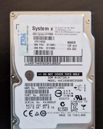 IBM ESXS SCSI DISK DEVICE