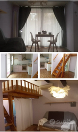 Monolocale indipendente con giardino