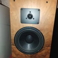 Ultimo Ribasso Altoparlanti Chario Syntar 2speaker