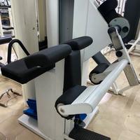 Gluteus Machine