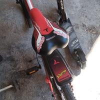 biciclette e monopattino 