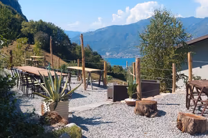 IL QUINTO GELSO