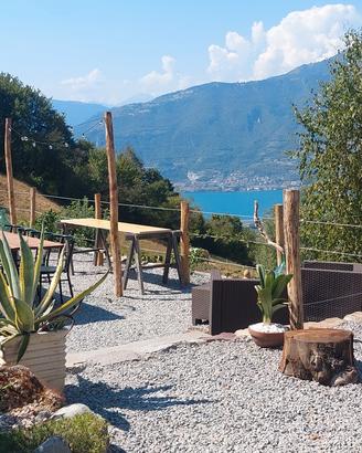 IL QUINTO GELSO