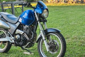 Honda Vigor FX 650 scrambler