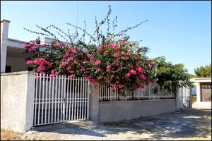 Villetta a 300m da Lido Tabù/Le Dune