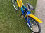 Immagine 6