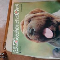 disco 33 giri 32° zecchino d'Oro