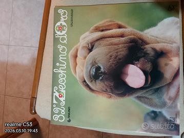 disco 33 giri 32° zecchino d'Oro