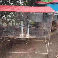 gabbia coniglio- pulcini - galline 