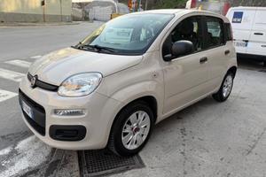 FIAT PANDA 1.2 NEOPATENTATI