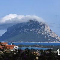 Elegante bifamiliare con vista sul mare e Tavolara