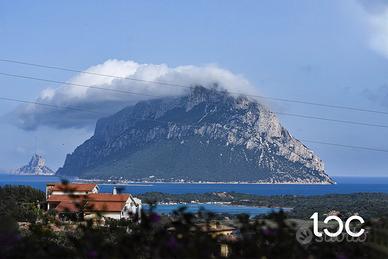 Elegante bifamiliare con vista sul mare e Tavolara