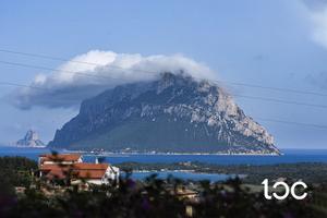 Elegante bifamiliare con vista sul mare e Tavolara
