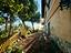 Immagine 9